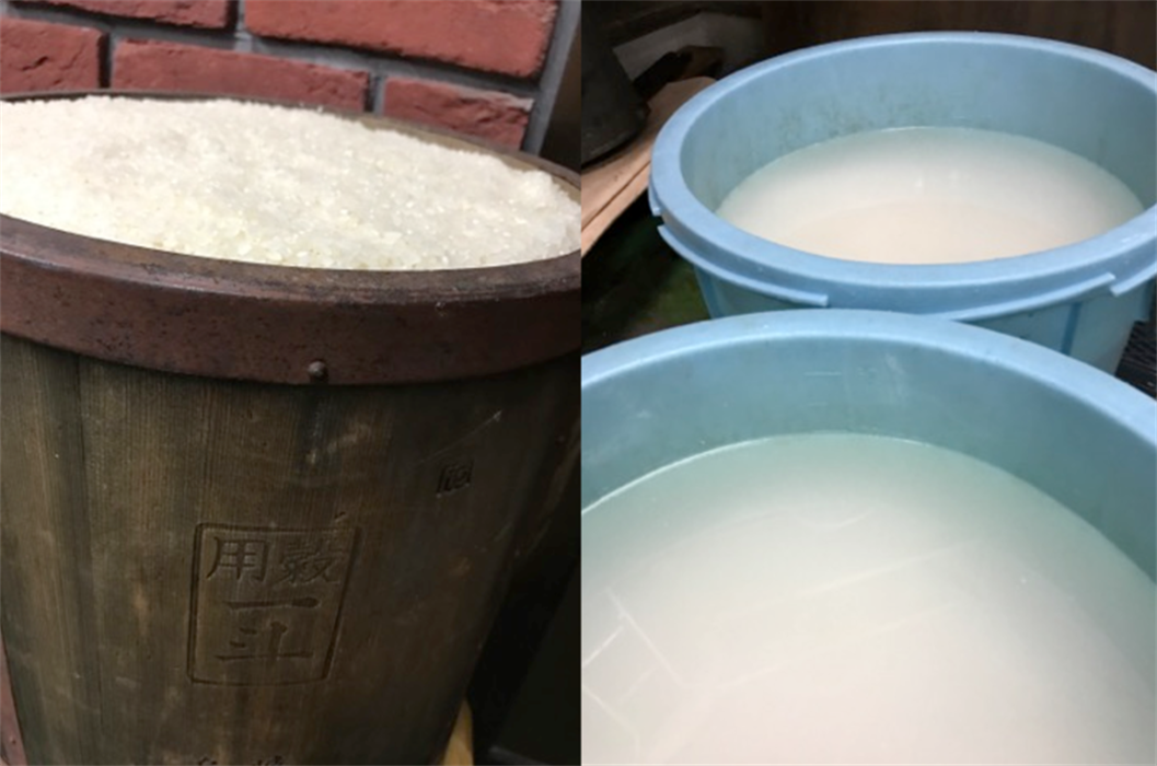 洗米後、樽でお米を浸漬する